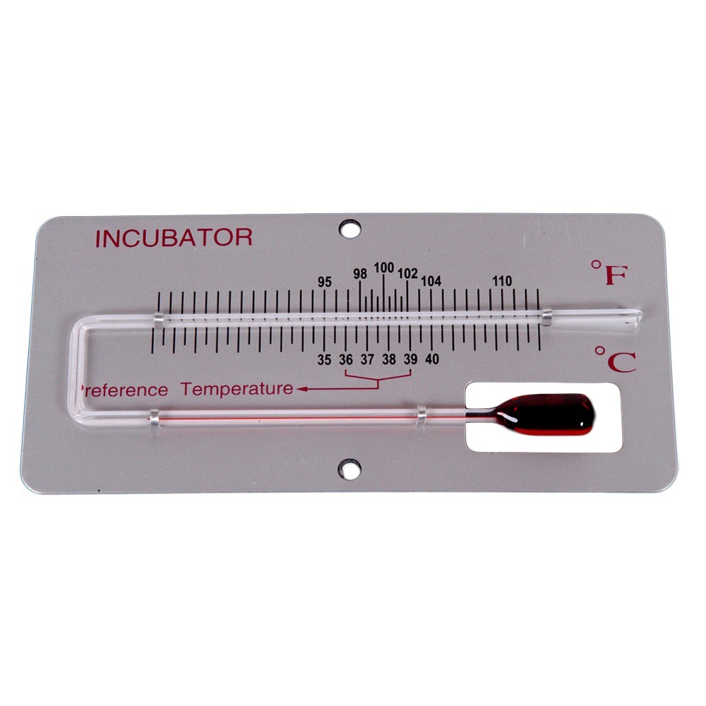 Termómetro para incubadora sobre panel