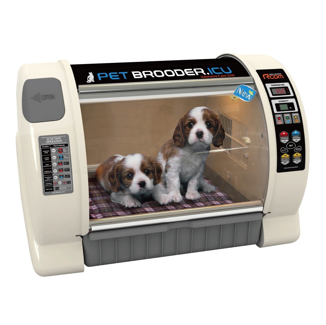 Criadora Pet Brooder