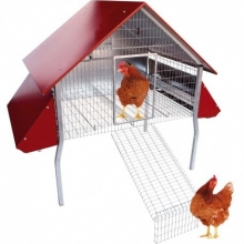 Eco-ponedero para 8 gallinas